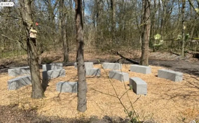 gruenes-klassenzimmer-in-der-natur2-foerderverein-humboldt-gymnasium-gifhorn
